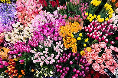 《.45弹寻血犬》Steam页面上线 回合制实时结合战斗