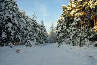 《欢迎来到帕拉迪泽》Demo预告 2月29日正式发售